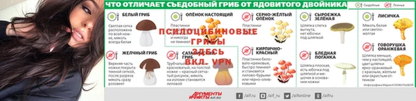 прущая мука Новозыбков