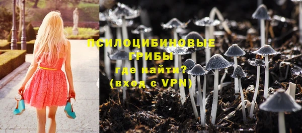 a pvp Новодвинск