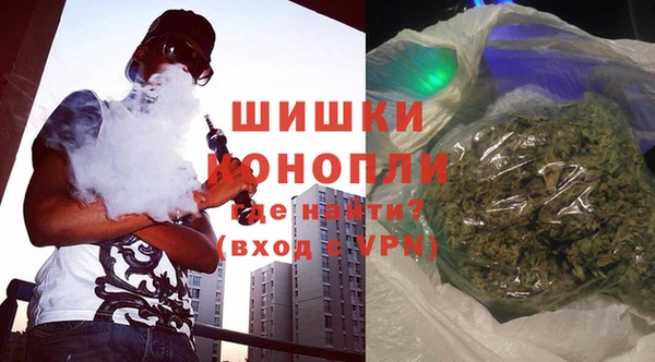 дурь Болотное