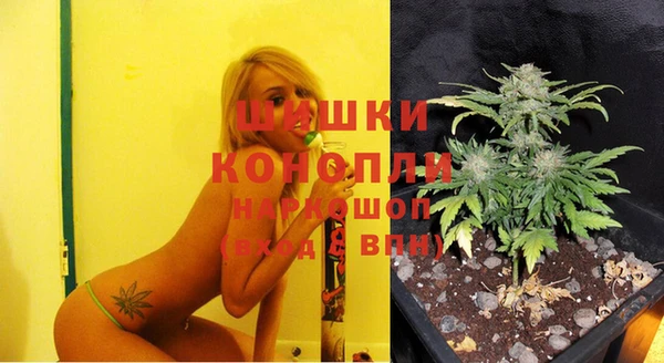 a pvp Новодвинск