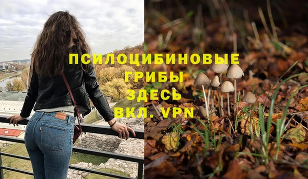 a pvp Новодвинск