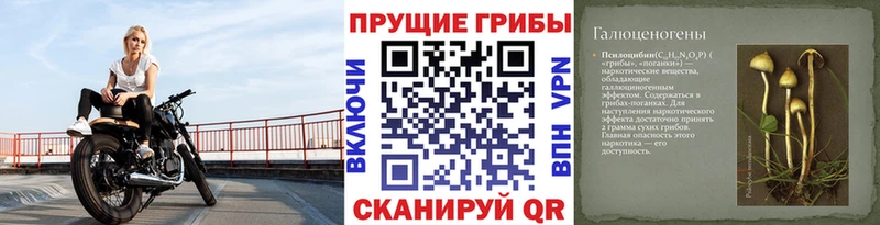 Псилоцибиновые грибы прущие грибы Безенчук